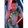 Breedwell Harnais Futura Vert Neon
